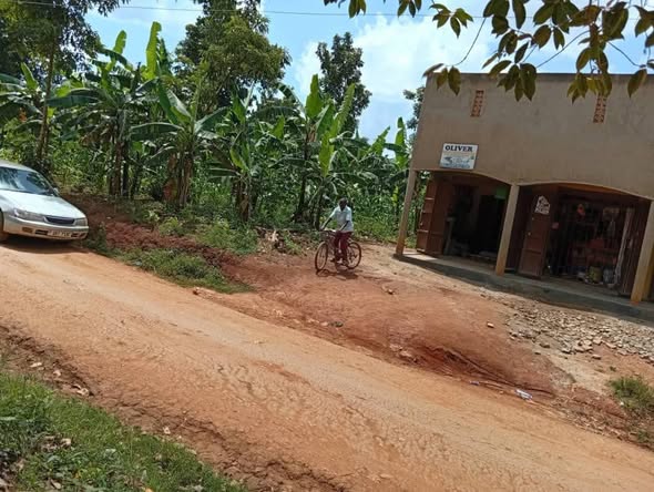 A picture of Land