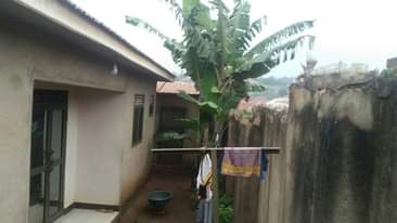 A picture of House for sale