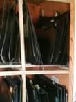 A picture of 07034369253