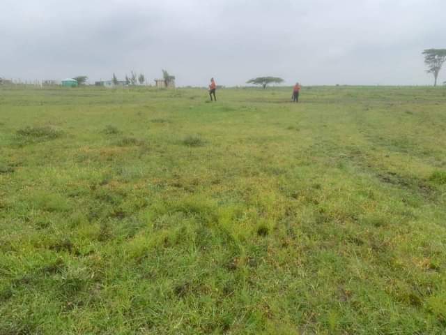 plots kiserian