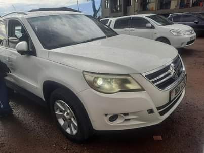A picture of Tiguan
