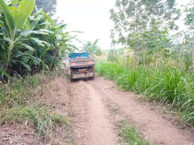 A picture of Plot 50 100ft for sale in Nakaseke Kapeeka at 2.5m