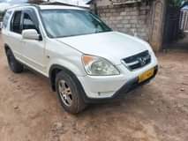 used honda crv