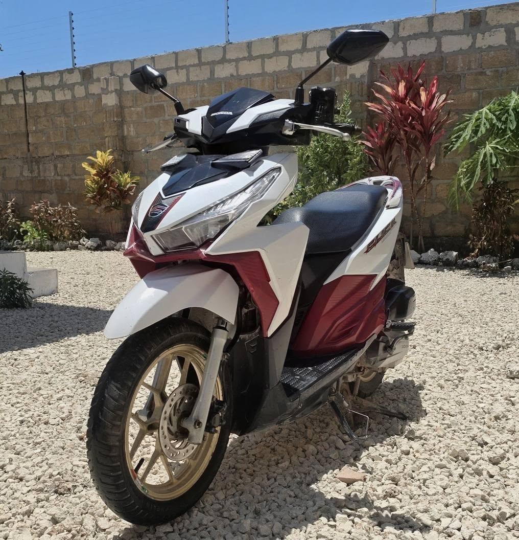 A picture of Scooter Honda