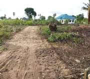 A picture of plots sellers 0768041126