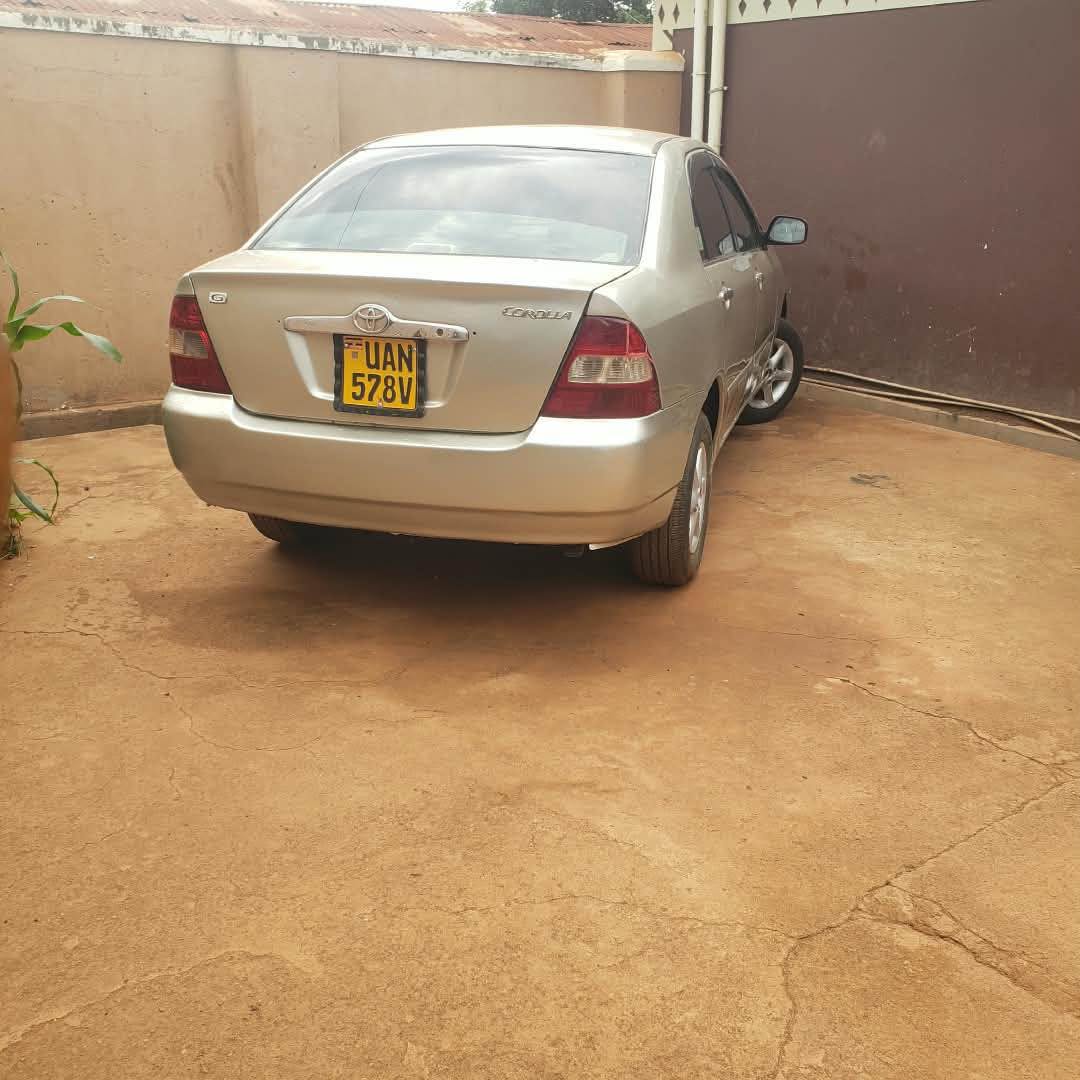 A picture of Corolla