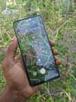 A picture of Samsung A51