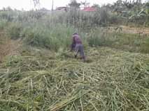 A picture of AM SELLING MY PLOT AT KASEGEJJE WAKISO AT 3M ONLY