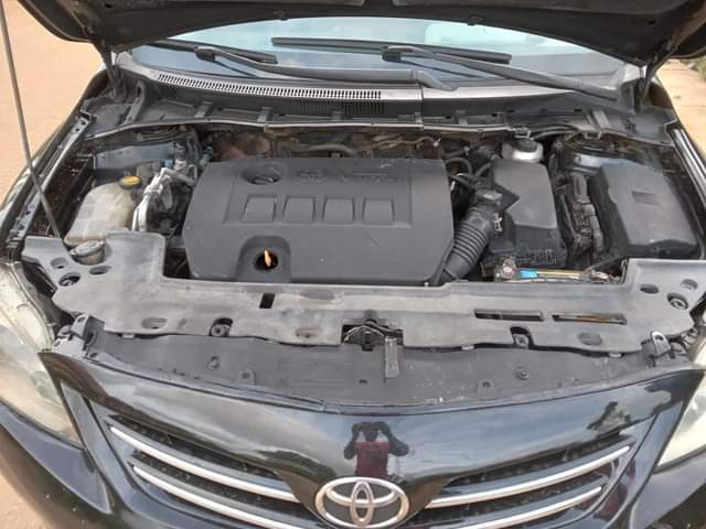A picture of Toyota Corolla 2010