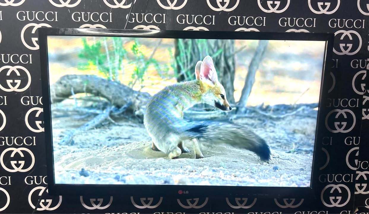 A picture of LG 29 inch Smart Tv Full HD Triple Tuner with