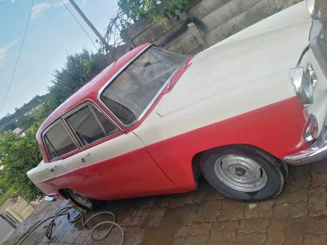 Classic,Muscle A.