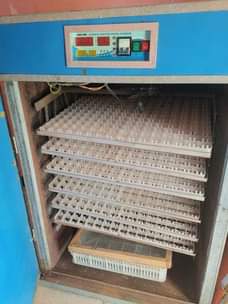 A picture of 1200 Eggs Capacity Incubator New