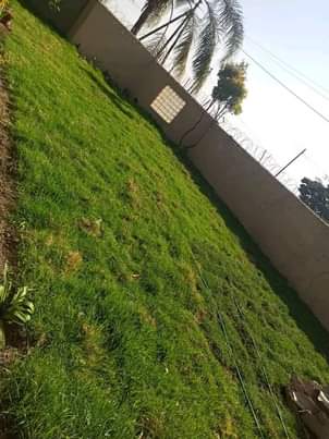 landscaping ssrvices