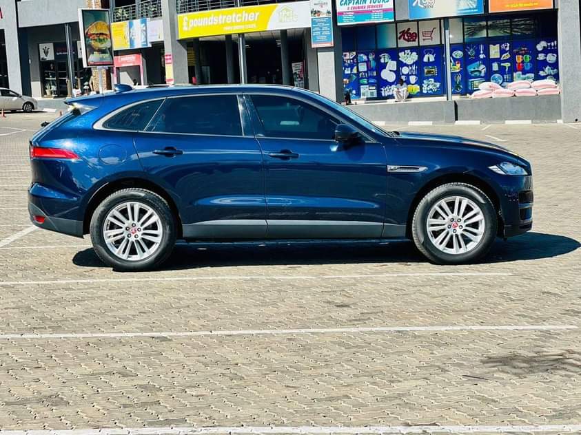 jaguar