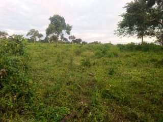 A picture of Shamba la eka 20 linauzwa hapa mbwewe