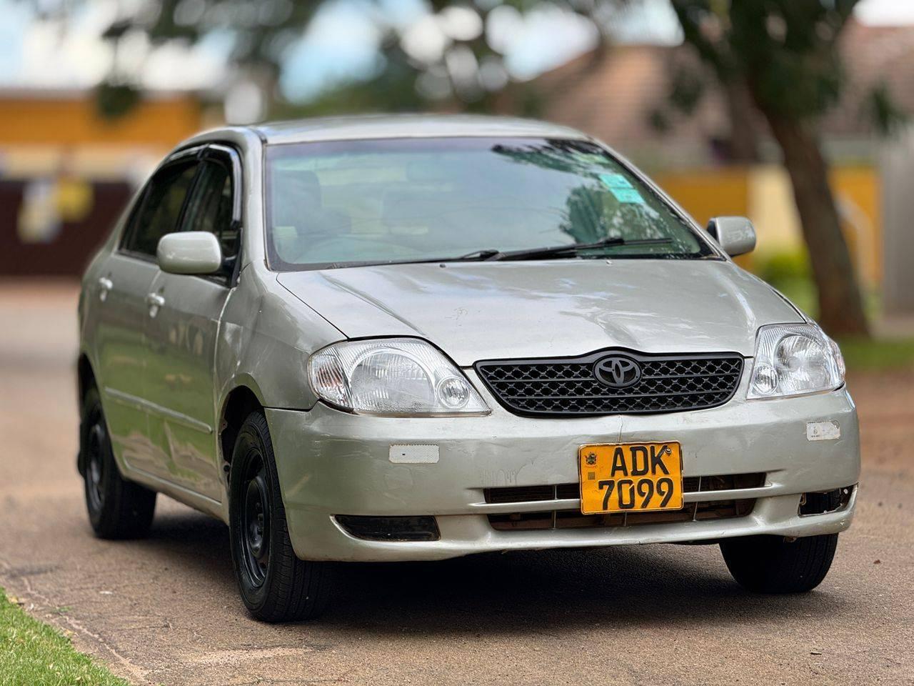 toyota corolla bubble