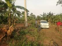 A picture of 3Acres on sale 100m all located kiwebwa nakikungwe we branch