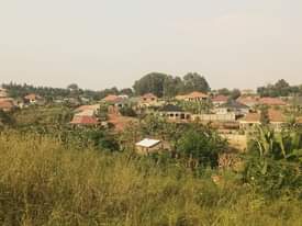 A picture of 9m Quick sale 9m 40by40ft located at matugga just 1.5km