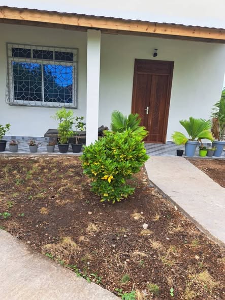 A picture of Studio Room for Rent at Paje