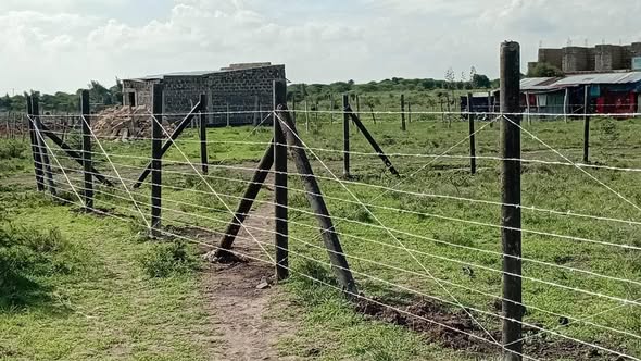 poles