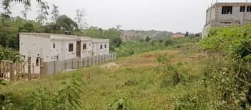 A picture of Plot