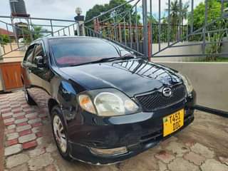 A picture of 6 8m 0688147887