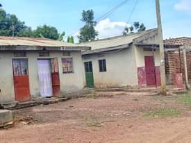 A picture of 10rooms on sale Located kasangati buwambo town Make 700k per