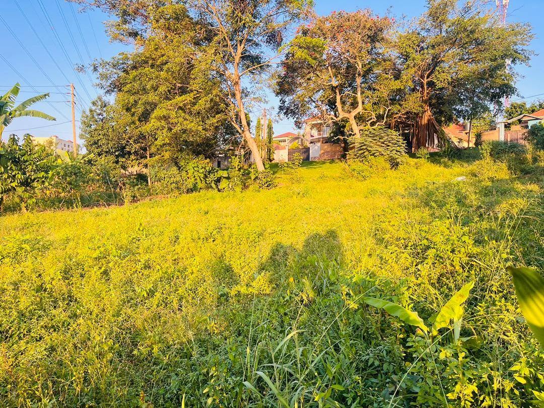 A picture of 50100ft plot for sale in Kira mulawa at 90m ugx