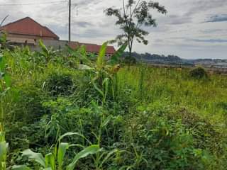 A picture of Half acre for sale in Buwanyi Namanve good for apartments
