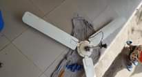 A picture of Kiboko ya joto