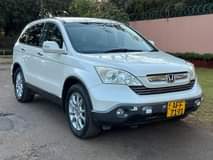 used honda crv