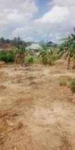 A picture of Kiwanja