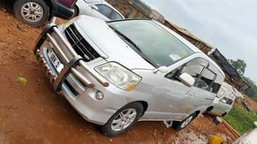 A picture of Noah New Shape 20m