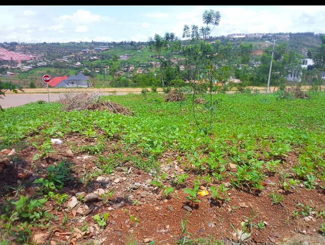 land