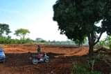 A picture of CHRISTMAS OFFER 50BY100 WITH READY LAND TITLE AT 10M ONLY