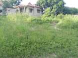 A picture of KIWANJA