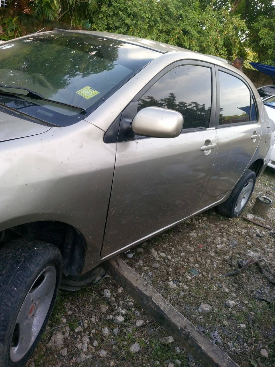 used toyota corolla