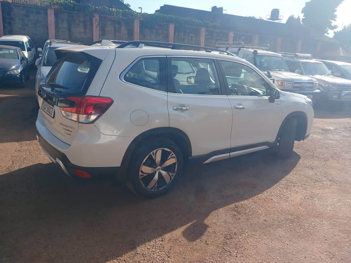 A picture of Forester Subaru