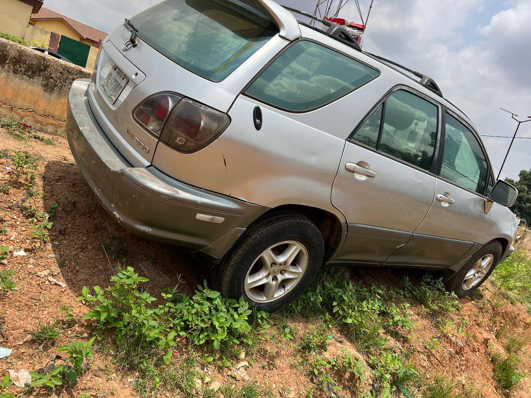 A picture of RX 300