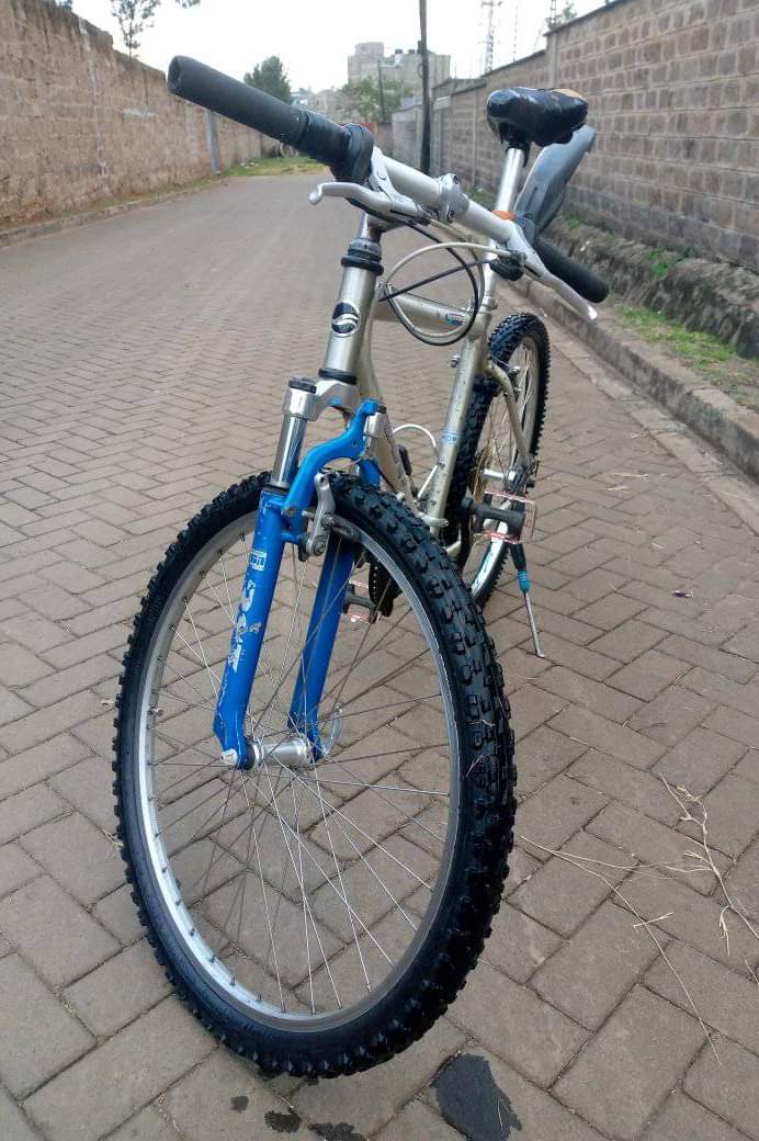 shimano