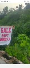 A picture of Acer s of Land