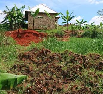 A picture of Plot 66ft by 20ft on quick sale in Lukwanga sentema