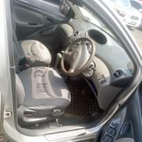 A picture of Vitz