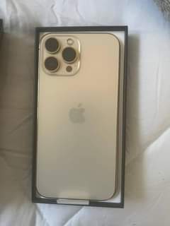 iphone 13pro