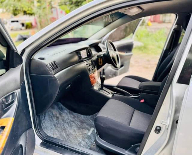 A picture of 2009 TOYOTA ALLEX ALLEX