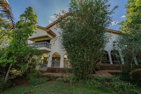 houses runda