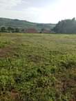 A picture of 25 Decimals available for sale in Kitende sekiwunga half kilometer