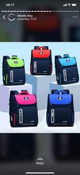 A picture of Sm baby school bags