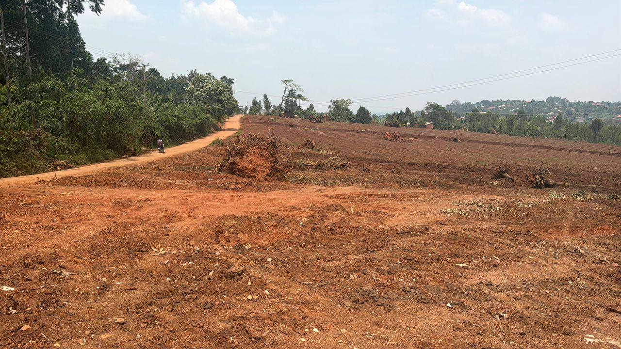 A picture of Plots and Houses for sell