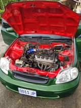 car shocks